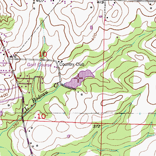 Topographic Map of Bridewells Lake, AR
