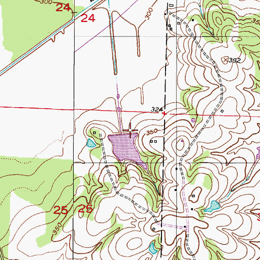 Topographic Map of Royston Lake One Dam, AR