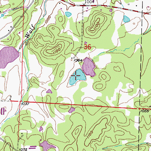 Topographic Map of Patchett Lake, AR