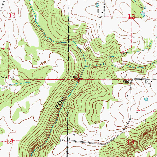Topographic Map of Buddy Lake, AR