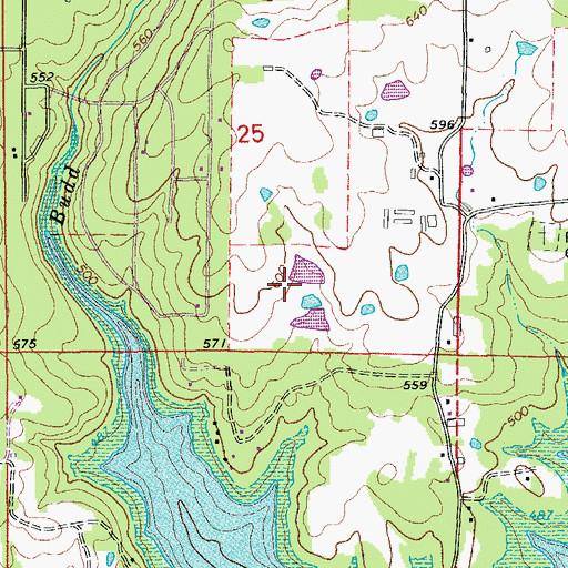 Topographic Map of Rodgers Lake Dam, AR
