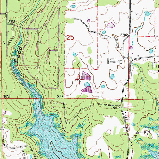 Topographic Map of Rodgers Lake, AR