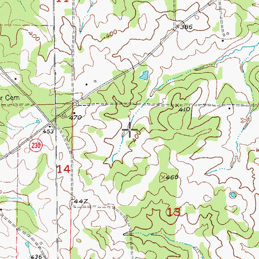 Topographic Map of Runyans Lake, AR