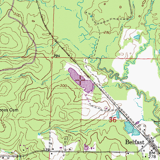 Topographic Map of Fiser Lake, AR
