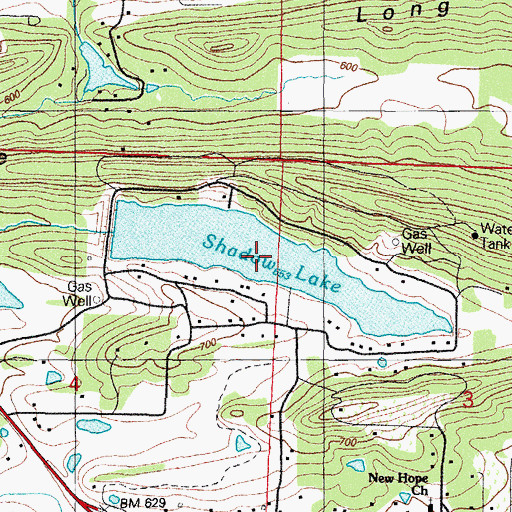 Topographic Map of Shadow Lake, AR