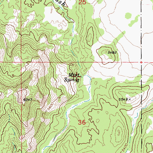 Topographic Map of Mint Spring, AZ
