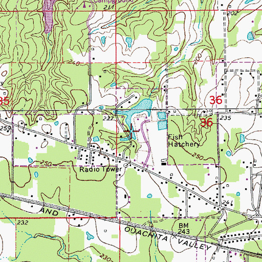 Topographic Map of Bradley County Lake, AR