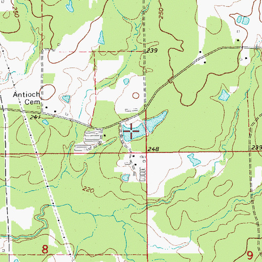 Topographic Map of Capps Lake, AR