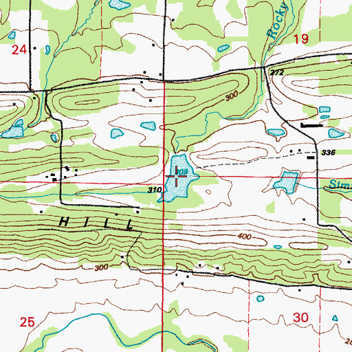 Topographic Map of Rick Lake, AR