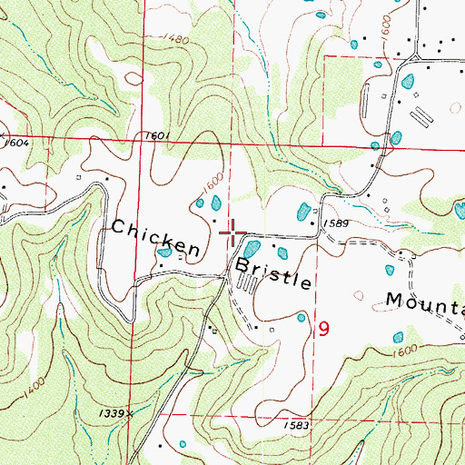 Topographic Map of Mountain View School (historical), AR