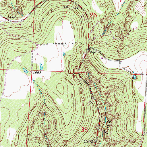 Topographic Map of Low Gap Hollow, AR