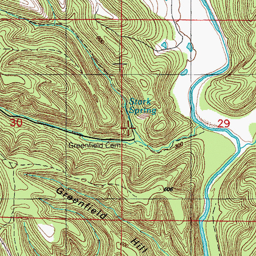 Topographic Map of Allen Mine, AR