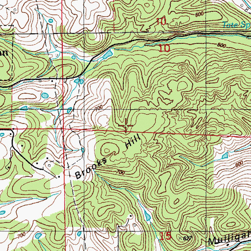 Topographic Map of Brooks Hill Mine, AR