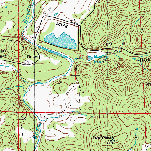 Topographic Map of Montgomery Prospect, AR