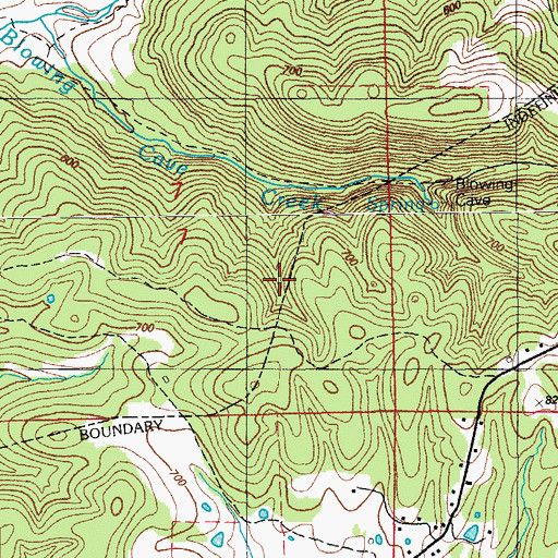 Topographic Map of R W Reeves Prospect, AR