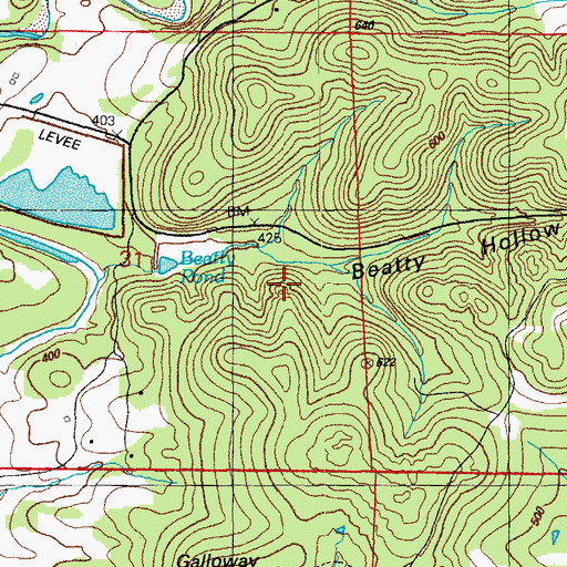 Topographic Map of Roach Mine, AR