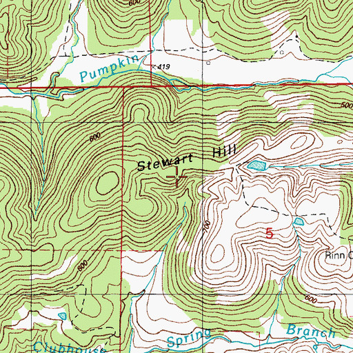 Topographic Map of W L Johnson Prospect, AR