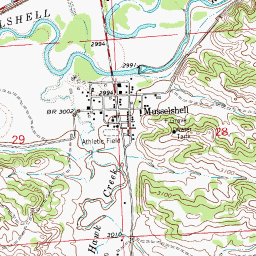 Topographic Map of 09N29E28BCCD02 Well, MT