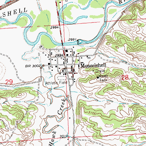 Topographic Map of 09N29E28BCCD01 Well, MT