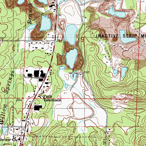 Topographic Map of Rauch Estate Shaft Mine, AR