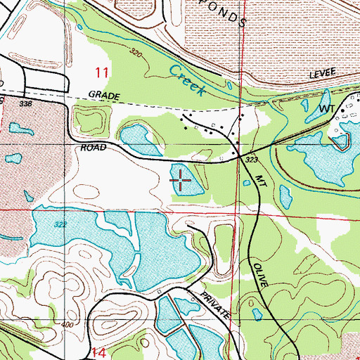 Topographic Map of Bizzell Mine, AR