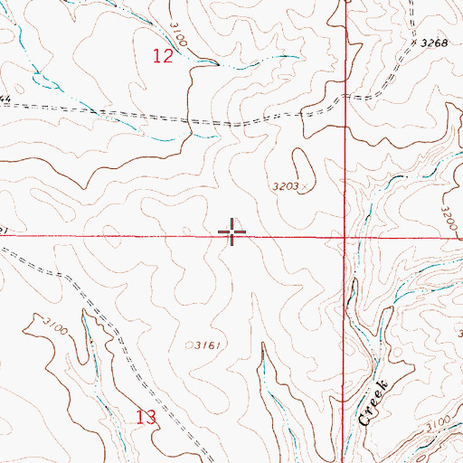 Topographic Map of 13N46E12DCDD01 Well, MT