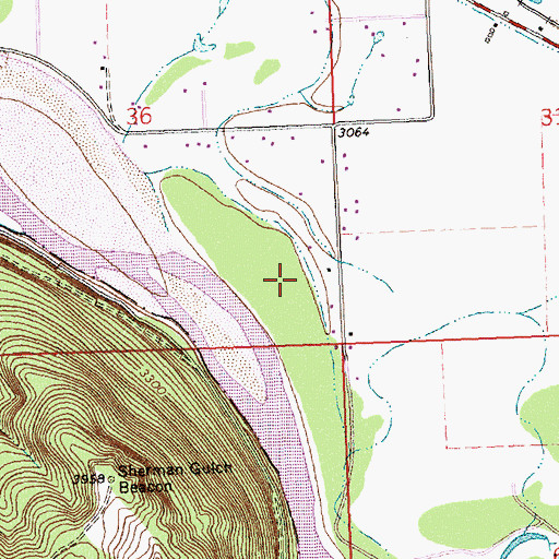 Topographic Map of 14N21W36DD__01 Well, MT