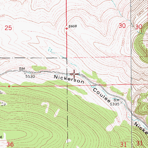 Topographic Map of 15N11E30CC__01 Spring, MT