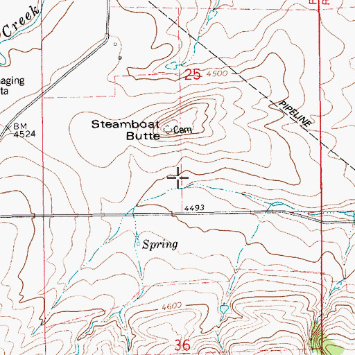 Topographic Map of 16N11E25DCBC01 Well, MT