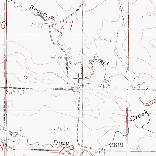Topographic Map of 18N46E21DCBD01 Well, MT