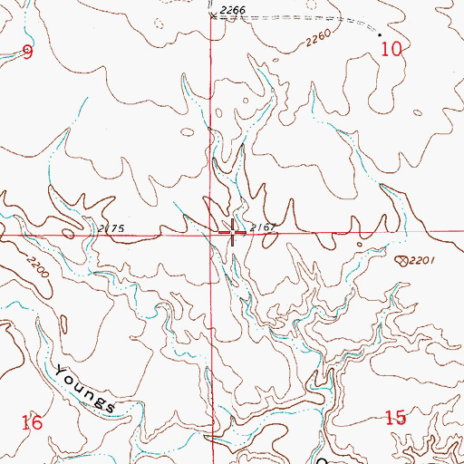 Topographic Map of 22N58E10CCCC01 Well, MT