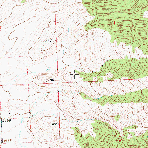 Topographic Map of 23N21W09CCDA01 Well, MT