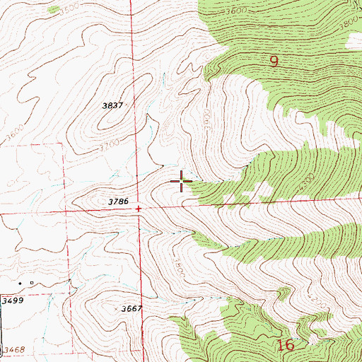 Topographic Map of 23N21W09CCD_01 Well, MT
