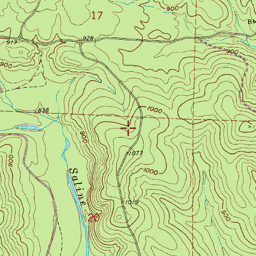 Topographic Map of Lake Winona Research Natural Area, AR