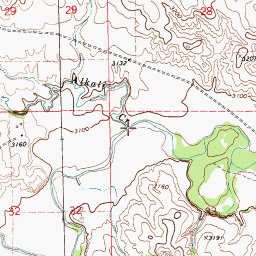 Topographic Map of Alkali Creek, NE