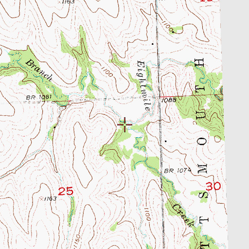 Topographic Map of Bachelor Branch, NE
