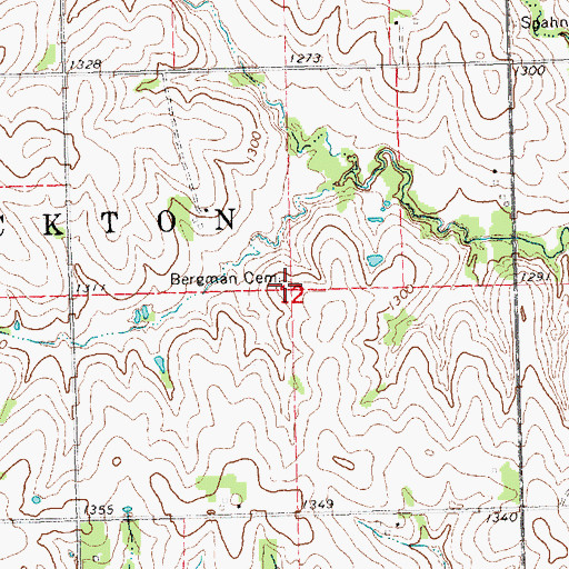 Topographic Map of Bergman Cemetery, NE