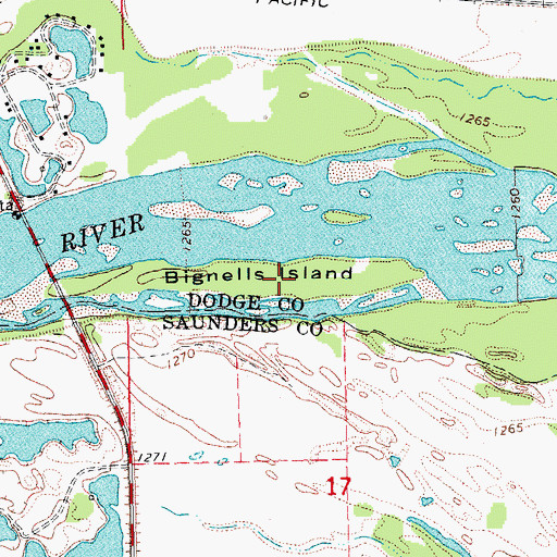 Topographic Map of Bignells Island, NE