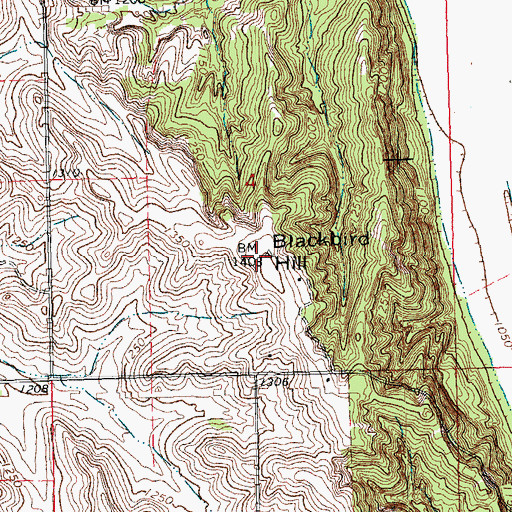Topographic Map of Blackbird Hill, NE
