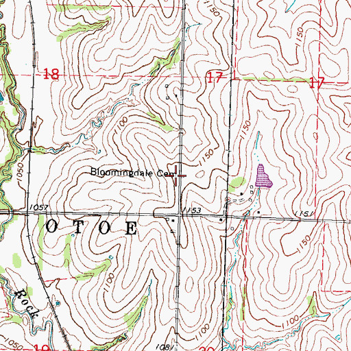 Topographic Map of Bloomingdale Cemetery, NE