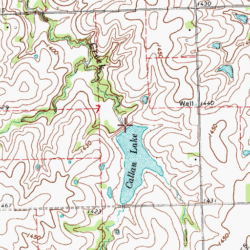 Topographic Map of Callan Lake, NE