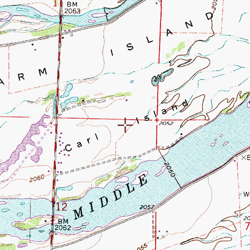 Topographic Map of Carl Island, NE