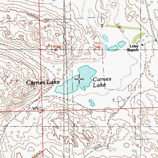 Topographic Map of Carnes Lake, NE