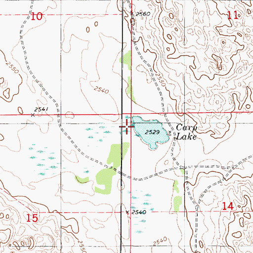 Topographic Map of Carp Lake, NE