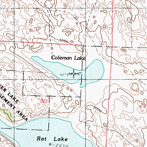 Topographic Map of Coleman Lake, NE
