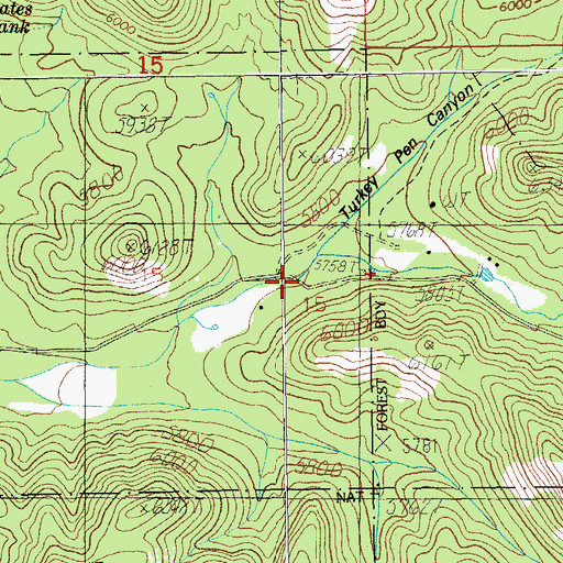 Topographic Map of Mormon Canyon, AZ