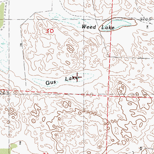Topographic Map of Gus Lake, NE