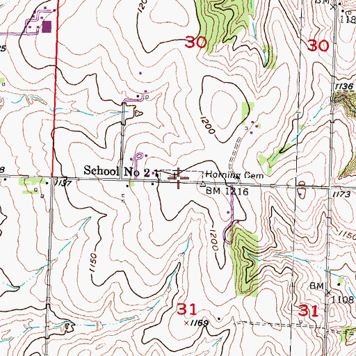 Topographic Map of Pleasant Ridge Cemetery, NE