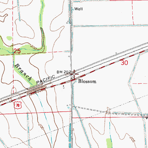 Topographic Map of Blossom, AR