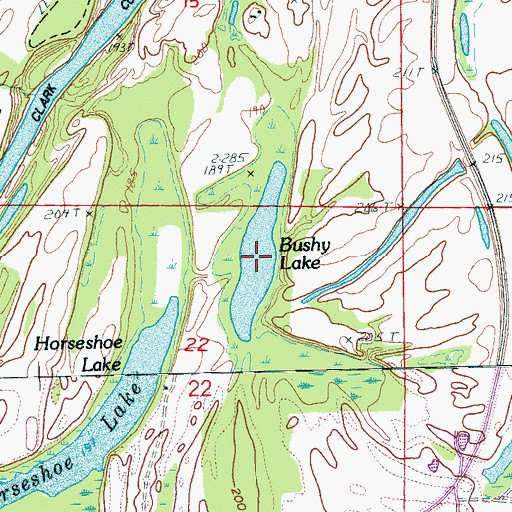 Topographic Map of Bushy Lake, AR